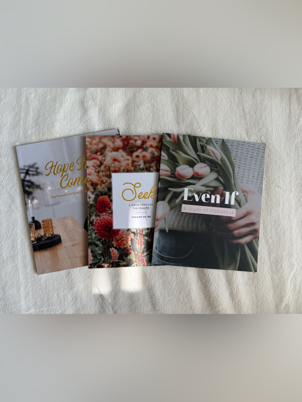 Bundle of 3 Daily Grace Co Bible Studies